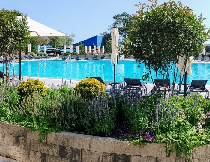 Отель «Райморис» Бетта